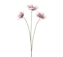 Helleborus spray Agri purple 52cm