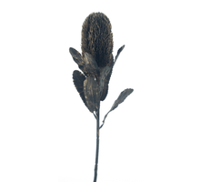 X'mas protea spray black gold 65cm