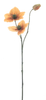 Helleborus-Spray Caseros orange 56cm
