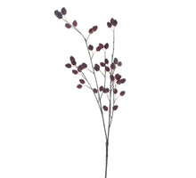 Rasberry spray red 91cm