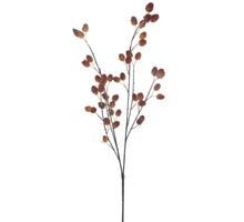 Rasberry spray orange 91cm