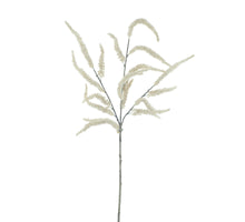Setaria grass spray cream 76cm