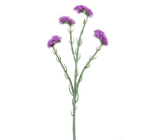 Statice l65cm  violet