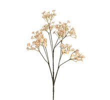 Gypsophila l70cm beige