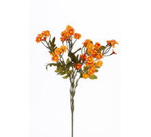 Margrietje 160cm orange