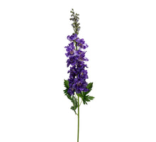 Delphinium, 78 cm, lila