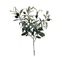 Olivenspray mittel 70 cm mit Beerengrün