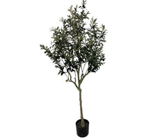 Olivenbaum auf Stiel 150 cm mit Beerengrün