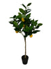 Zitronenbaum auf Stamm 80 cm gelb