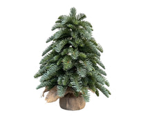 Nobilis-Baum 30 cm auf Fuß in Jute-Grün