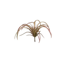 Tillandsia lXXcm grün/rot