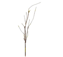 Gekräuselter Zweig l60cm grün