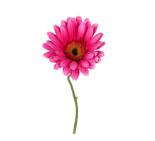 Gerbera l32cm kirschrot