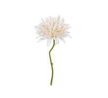 Gerbera wild, 29 cm, weiß