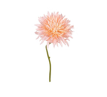 Gerbera wild, 29 cm, lachsfarben