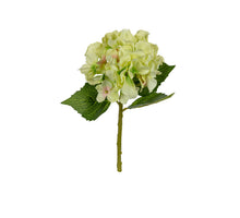 Hortensie L32cm grün