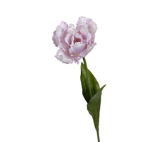 Papageientulpe 66cm lila