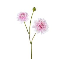 Dahlie L80cm rosa