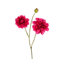 Dahlie L80cm Cerise