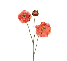Papaver x3 l76cm koraal