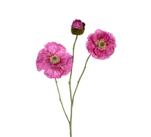 Papaver x3 l76cm mauve
