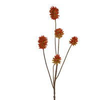 Distel flock l77cm donker rood