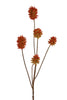 Distel flock l77cm donker rood