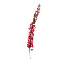 Eremurus l105cm donker roze