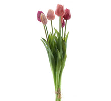 Real Touch Classic Tulpe Bundle Sally x7 neue rot/rosa Kombination