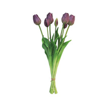 Classic tulip bundle Sally x7 aubergine 47cm