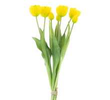 Double Tulip bundle Sally x7 yellow 44cm