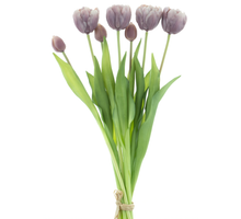 Double Tulip bundle Sally x7 purple 44cm