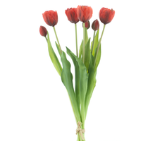 Double Tulip bundle Sally x7 red 44cm