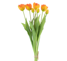 Double Tulip bundle Sally x7 orange 44cm