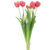 Double Tulip bundle Sally x7 beauty 44cm