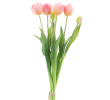 Double Tulip bundle Sally x7 pink  44cm