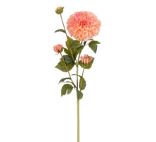 Dahlie Rosa Real Touch – L78 cm