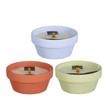 Kerze Citronella grün lila rot 3-fach sortiert - H5,5xT12cm