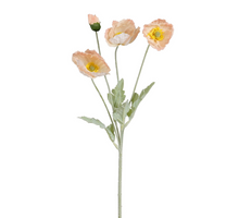 Mohn Pfirsich Real Touch - L61cm