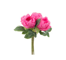 Pfingstrose Strauß, 6 Stiele D20 H28cm Rosa