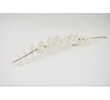 Eucalyptus spray Rismo 82cm cream (S)
