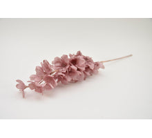 Delphinium Rismo 70cm mauve (S)