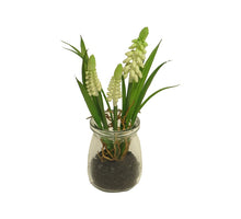Muscari Desire im Glasgefäß creme 17cm