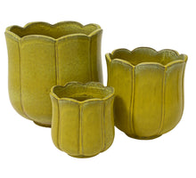 Set mit 3 Blossom Pflanzgefäßen Terrakotta hellgelb 42cm x 42cm