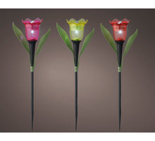 Solar stake light plastic steady 3col ass dia5.7cm x H.31.2cm