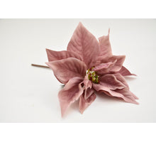 Poinsettia Nicolah spray mauve 27cm