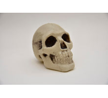 Doodshoofd plastic 12 cm