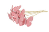 Packung mit 10 rosa Holzschmetterlingen auf 50 cm Stab.