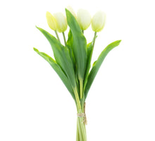 Real Touch Holland Tulip bundle Sally X5 cream 36cm