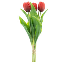 Real Touch Holland Tulip bundle Sally X5 red 36cm